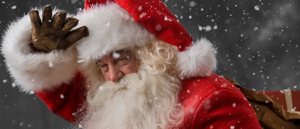 Crikey its the Christmas Cracker