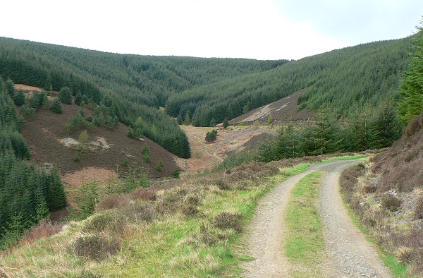 Glentress Winter Trail Half Marathon
