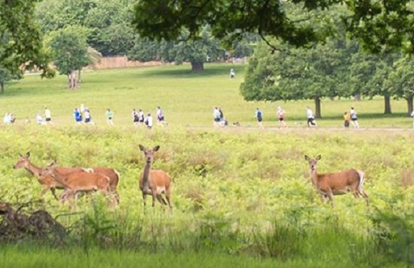 Richmond Park