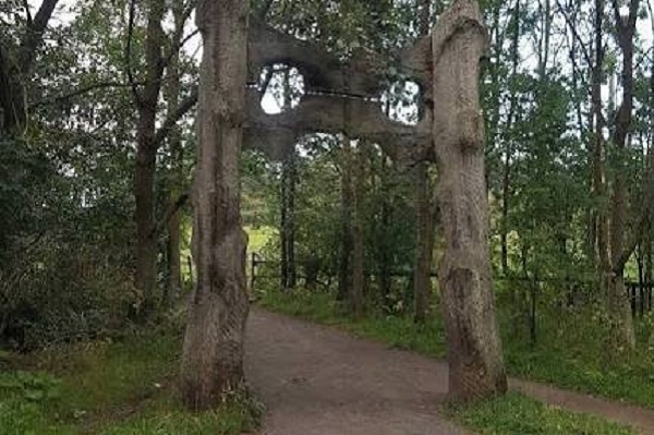 Rising Sun Country Park Half Marathon
