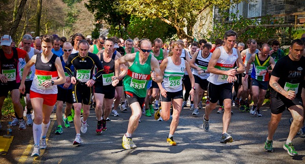 Snowdonia Half Marathon